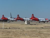 100_1736.jpg