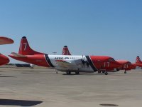 100_1728.jpg
