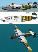 CFS2 B24J Tubarao.jpg