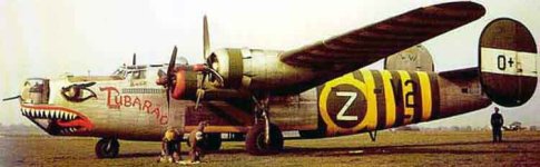 Real B24J Tubarao.jpg