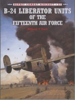 B234 15th AF.jpg