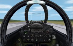F9F Panel.jpg