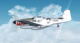 F-51D WV ANG 1.jpg