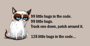 Bugs_in_Code.jpg