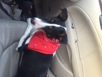 remi-2016-2r.jpg remi-2016-2r.jpg