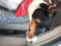 remi-2016-12.jpg remi-2016-12.jpg