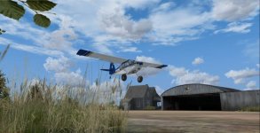 Scout_Herons3.jpg