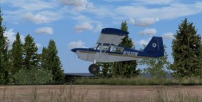 Scout_Herons4.jpg