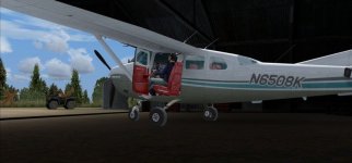U206G_Herons6.jpg