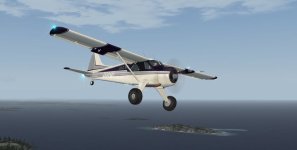 Beaver_Herons1.jpg