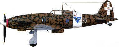 MC202_side.jpg