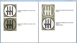 RA Insignia Manual_2.jpg