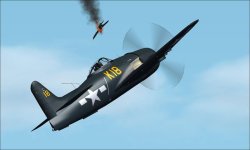 Bearcat v. Zero a.jpg