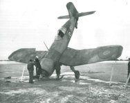 Pawson59.jpg