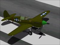 P-40N-Paint1.jpg