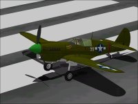 P-40N-Paint2.jpg