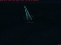 Night Wake.jpg