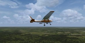 N5569G 6.jpg