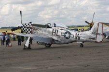 IMG_1036.jpg