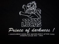 Lucus-and-Oscar-001.jpg