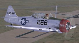 WASP over Avenger Field.jpg