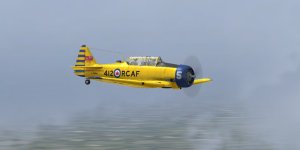 Harvard 20412-2.jpg