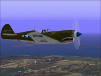 P-40N-SharkMouth.jpg