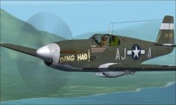 P-51b Ding Hao Yel b.jpg