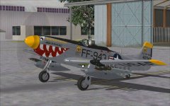 F-51D 1.jpg