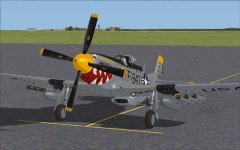 F-51D 2.jpg