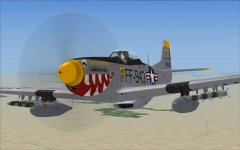 F-51D 3.jpg