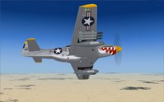 F-51D 4.jpg