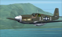 P-51b Ding Hao.jpg