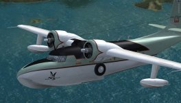 N2965_FSX2.jpg