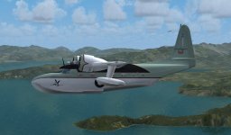 N2965_FSX1.jpg