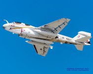 Full_Size_Export_of_ DSC_0072 1.jpg