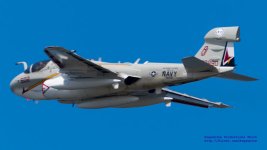 Full_Size_Export_of_ DSC_0077 1.jpg