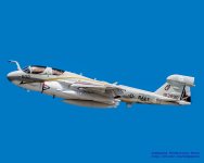DSC_0073-Edit-1.jpg