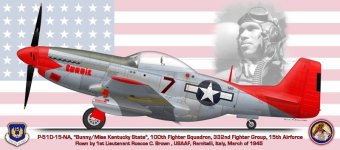 P-51D-15-NA BUNNIE 100th FS 332nd FG 15th Airforce A.jpg