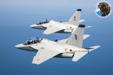 M-346-1.jpg