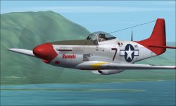 P-51D Bunnie A.jpg