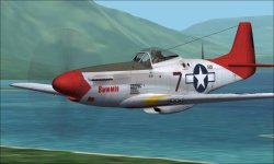 P-51D Bunnie new pilot.jpg