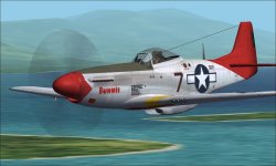 P-51D Bunnie E.jpg