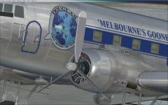 Gooney Eng detail.jpg