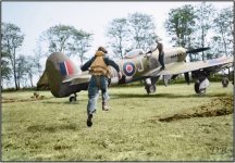 175 typhoon pilot B5 air strip Fresne-Camilly Calvados Normandy 24 July 1944.jpg