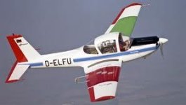 D-ELFU.jpg
