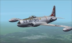 F-80C-1-LO NJ ANG d.jpg