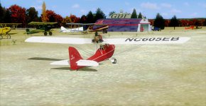 cw-1a.jpg