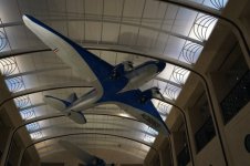 Underside of UAL DC-3.jpg