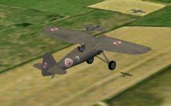 P.11a 111 Esk.jpg